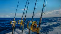 Rod & Reel Combos