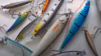 Lures & Flies