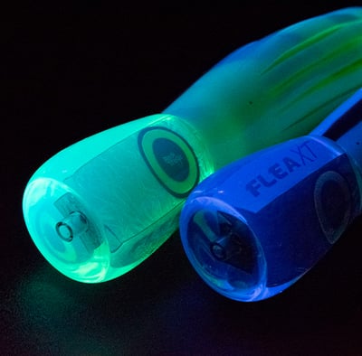 Black Magic LED UV Torch