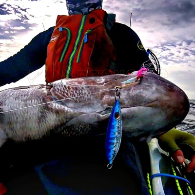 Catch the Boss Slow Jig 100gm