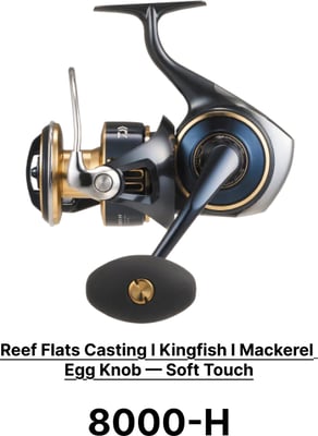 Daiwa 25 Saltiga Spinning Reel