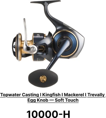 Daiwa 25 Saltiga Spinning Reel