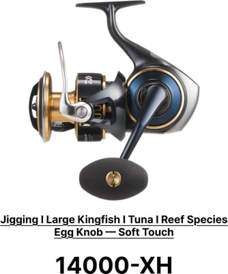 Daiwa 25 Saltiga Spinning Reel