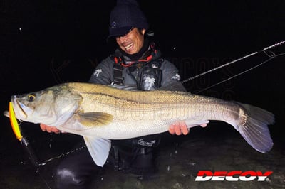 Decoy EX Snap Fishing Connector