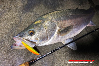 Decoy EX Snap Fishing Connector