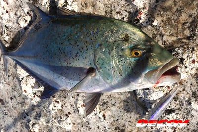 Decoy Pluggin Jack Single Hook