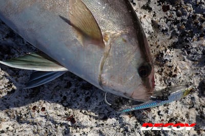 Decoy Pluggin Jack Single Hook