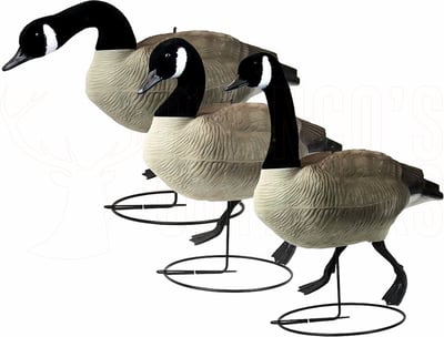 Game on Full Body Flocked Canada Goose Decoy 6-Pack