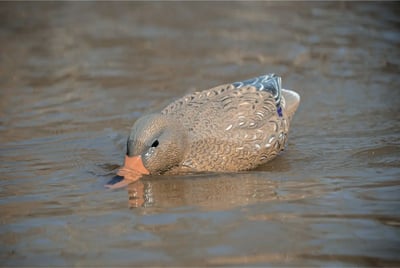 Higdon Pro Swimmer Mallard Hen