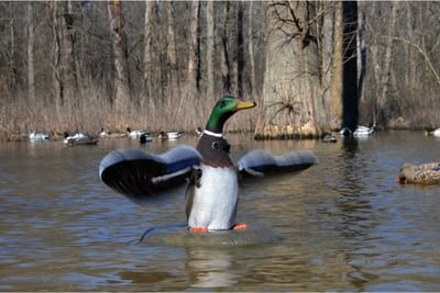 Higdon XS Floating Flasher Mallard Drake Decoy 12V