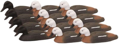 Outdoor Outfitters Foam Paradise Shell Decoy 12 Pack + Lite Stakes