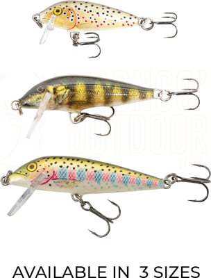 Rapala Pro Guide CountDown Lure 3 Pack